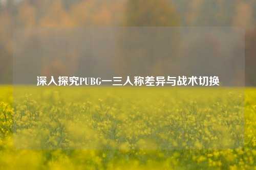 深入探究PUBG一三人称差异与战术切换