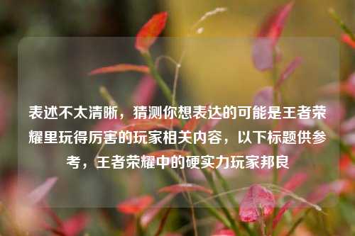 表述不太清晰，猜测你想表达的可能是王者荣耀里玩得厉害的玩家相关内容，以下标题供参考，王者荣耀中的硬实力玩家邦良
