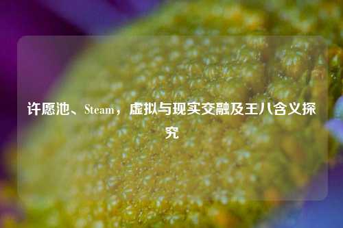 许愿池、Steam，虚拟与现实交融及王八含义探究