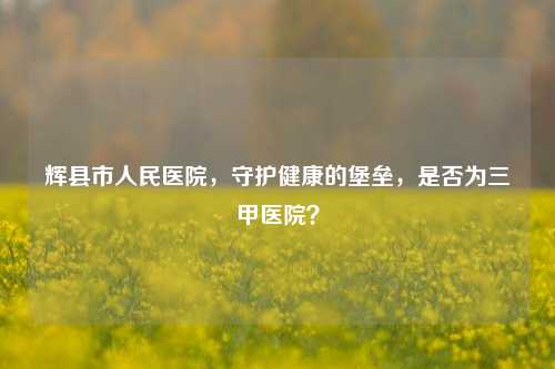 辉县市人民医院，守护健康的堡垒，是否为三甲医院？
