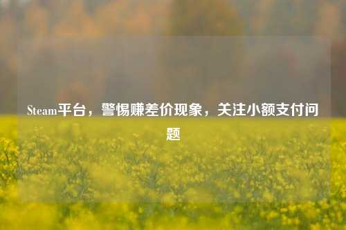 Steam平台，警惕赚差价现象，关注小额支付问题