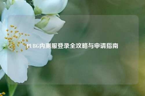 PUBG内测服登录全攻略与申请指南
