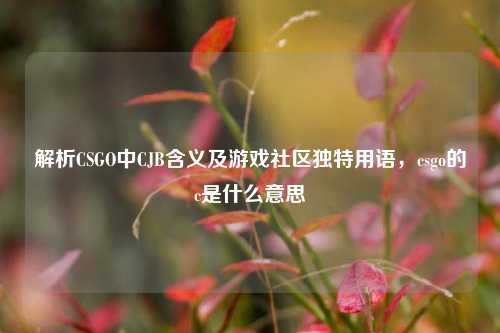 解析CSGO中CJB含义及游戏社区独特用语，csgo的c是什么意思