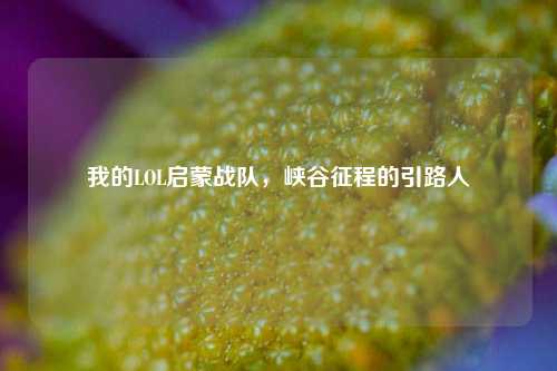 我的LOL启蒙战队，峡谷征程的引路人