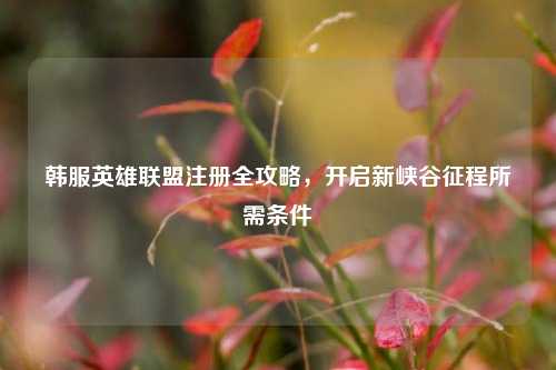韩服英雄联盟注册全攻略，开启新峡谷征程所需条件