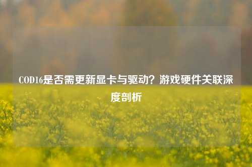 COD16是否需更新显卡与驱动？游戏硬件关联深度剖析