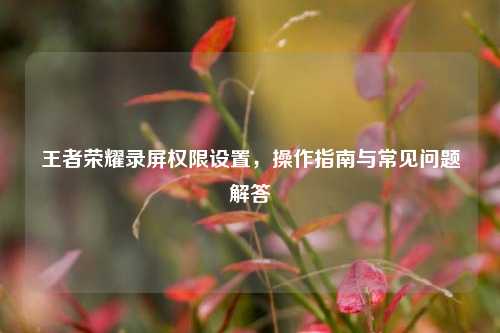 王者荣耀录屏权限设置，操作指南与常见问题解答