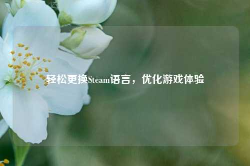 轻松更换Steam语言，优化游戏体验