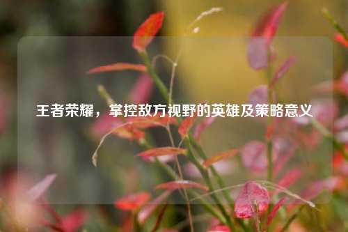 王者荣耀，掌控敌方视野的英雄及策略意义