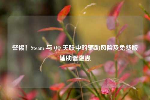 警惕！Steam 与       关联中的辅助风险及免费版辅助器隐患