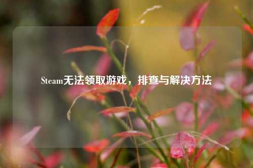 Steam无法领取游戏，排查与解决     