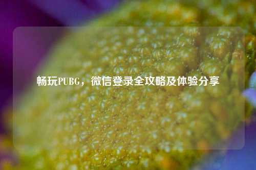 畅玩PUBG，微信登录全攻略及体验分享