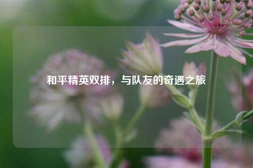 和平精英双排，与队友的奇遇之旅