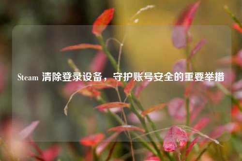 Steam 清除登录设备，守护账号安全的重要举措