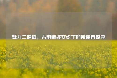 魅力二塘镇,古韵新姿交织下的所属市探寻