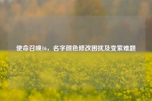 使命召唤16,名字颜色修改困扰及变紫难题