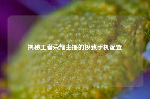 揭秘王者荣耀主播的极致手机配置