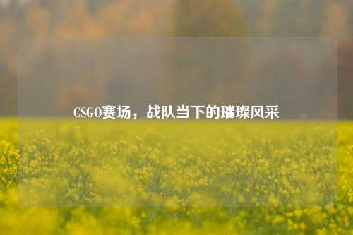CSGO赛场，战队当下的璀璨风采