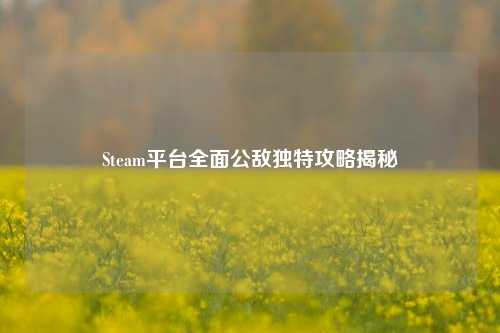 Steam平台全面公敌独特攻略揭秘