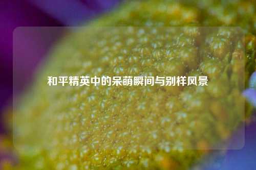 和平精英中的呆萌瞬间与别样风景
