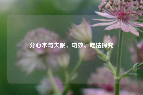 分心木与失眠,功效、吃法探究