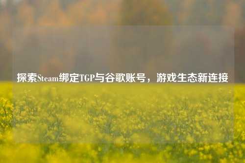 探索Steam绑定TGP与谷歌账号，游戏生态新连接
