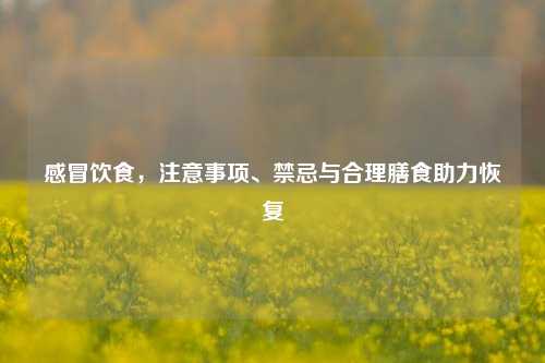 感冒饮食,注意事项、禁忌与合理膳食助力恢复