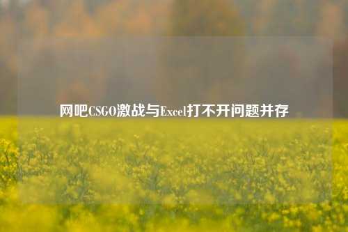 网吧CSGO激战与Excel打不开问题并存