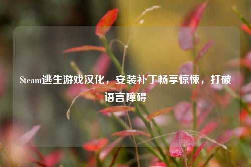 Steam逃生游戏汉化,安装补丁畅享惊悚,打破语言障碍