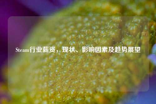 Steam行业薪资,现状、影响因素及趋势展望