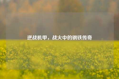 逆战机甲,战火中的钢铁传奇