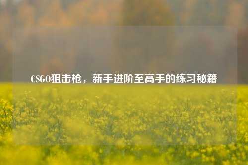 CSGO狙击枪,新手进阶至高手的练习秘籍