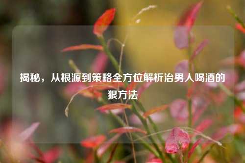 揭秘,从根源到策略全方位解析治男人喝酒的狠