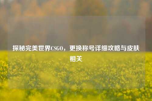探秘完美世界CSGO,更换称号详细攻略与皮肤相关