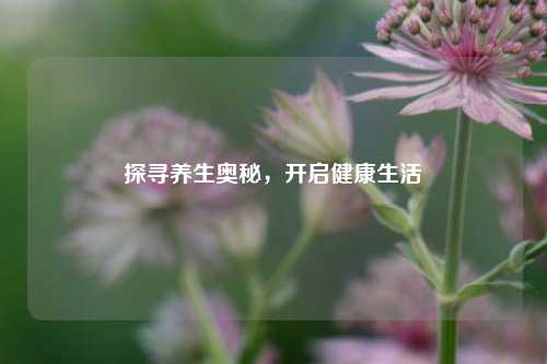 探寻养生奥秘,开启健康生活