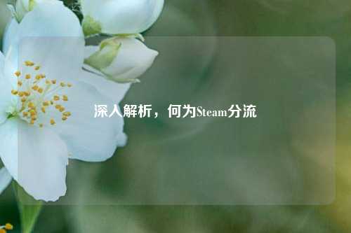 深入解析,何为Steam分流
