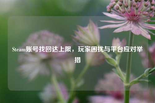 Steam账号找回达上限,玩家困扰与平台应对举措