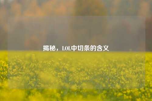 揭秘,LOL中切条的含义