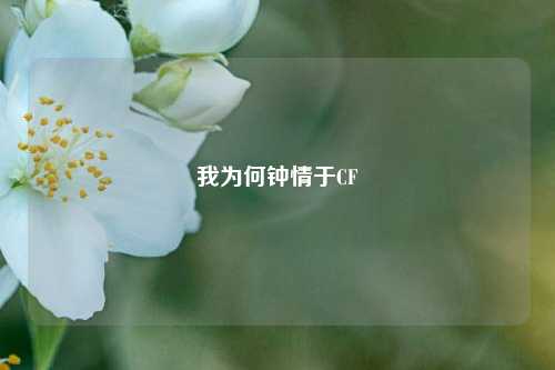 我为何钟情于CF