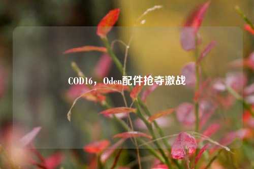 COD16,Oden配件抢夺激战