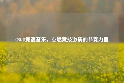 CSGO竞速音乐,点燃竞技***的节奏力量