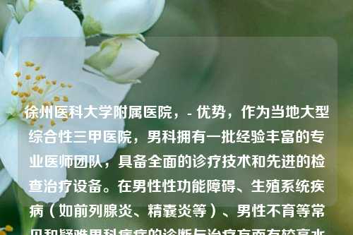 徐州医科大学附属医院,- 优势,作为当地大型综合性三甲医院,男科拥有一批经验丰富的专业医师团队,具备全面的诊疗技术和先进的检查治疗设备。在男性性功能障碍、生殖系统疾病(如前列腺炎、精囊炎等)、男性不育等常见和疑难男科病症的诊断与治疗方面有较高水平,能开展多种男科手术及特色治疗项目。,徐州市中心医院,- 优势,男科科室技术力量较强,医生临床经验丰富,注重中西医结合治疗男科疾病。在男性生殖健康保健、男科疾病的规范化诊治等方面表现出色,对于男性性功能减退、生殖系统感染等疾病的治疗有一定特色,同时也开展