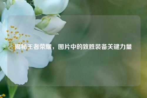 揭秘王者荣耀,图片中的致胜装备关键力量