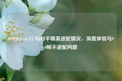 OPPO Find X2 与和平精英适配情况,深度体验与90帧不适配问题