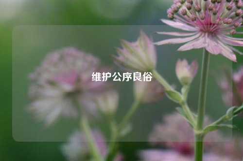 维护公序良俗