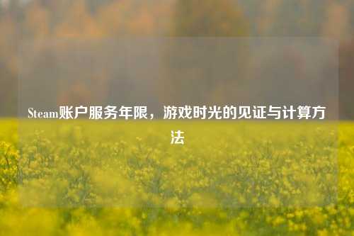 Steam账户服务年限,游戏时光的见证与计算