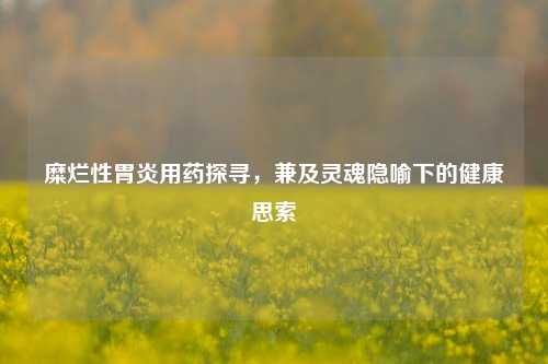 糜烂性胃炎用药探寻,兼及灵魂隐喻下的健康思索