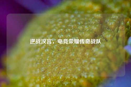 逆战汉宫,电竞荣耀传奇战队