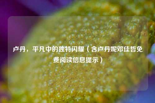 卢丹,平凡中的独特闪耀(含卢丹妮邓佳哲免费阅读信息提示)