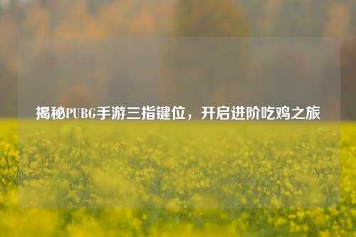 揭秘PUBG手游三指键位,开启进阶吃鸡之旅
